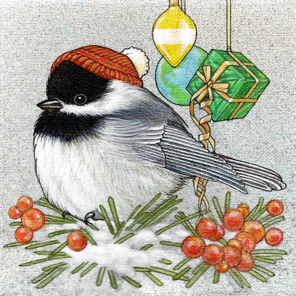 Black Capped Chickadee 1