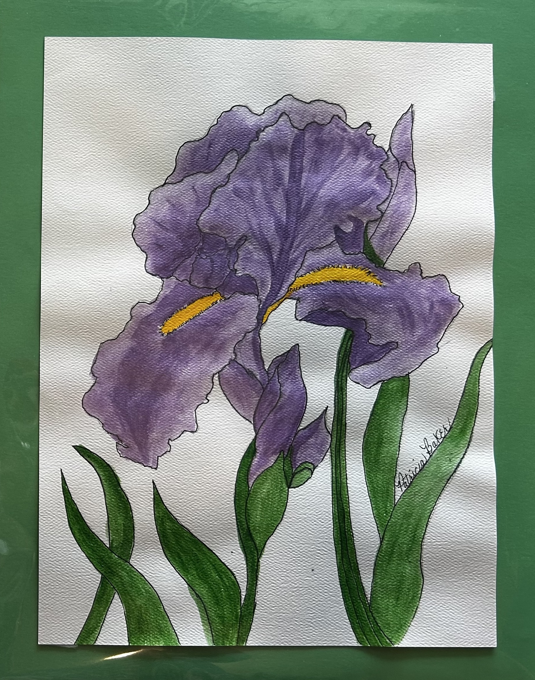 "Iris in Bloom'