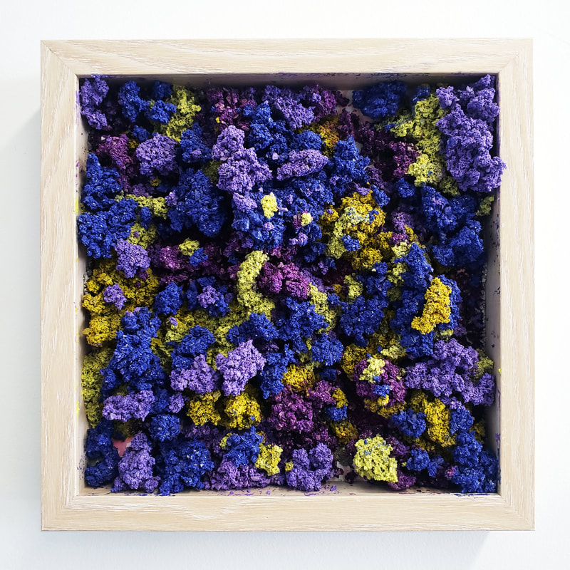 Wildflowers