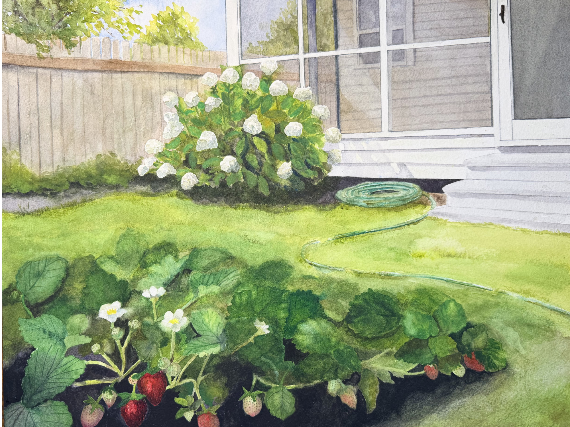 Strawberries